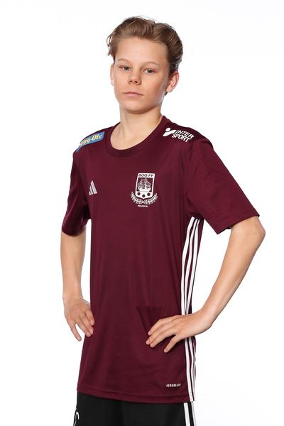 Md p15 a liam cahier