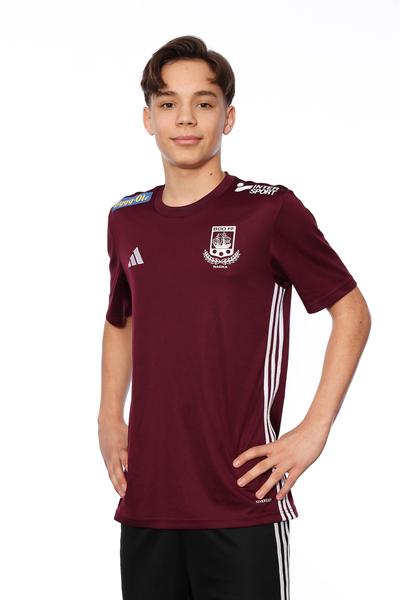 Md p15 a viktor nikolic