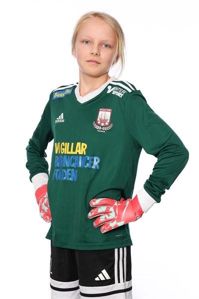 Md f2014 3 signe leven