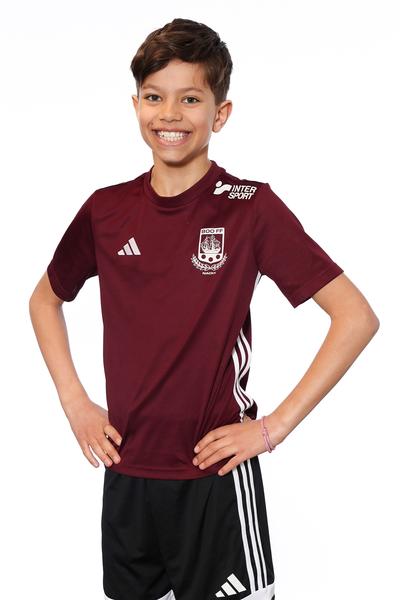 Md p2016 13 oscar sy lundstrom