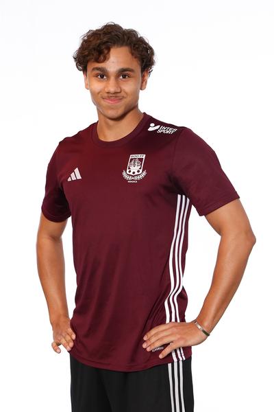 Md p19 a lowe santos vogt 13