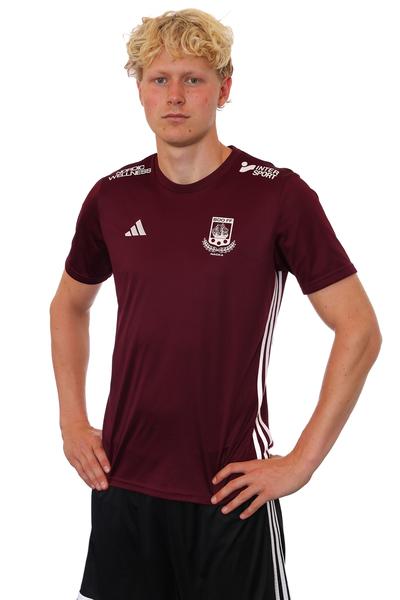 Md a lag herr lucas arnesson
