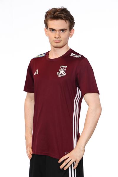 Md p19 a oscar hogmark 15