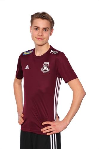 Md p16 akademi oscar haglund