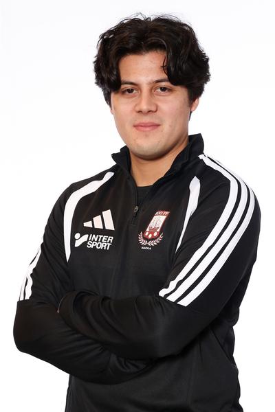 Md p2013 2 adam nilsson