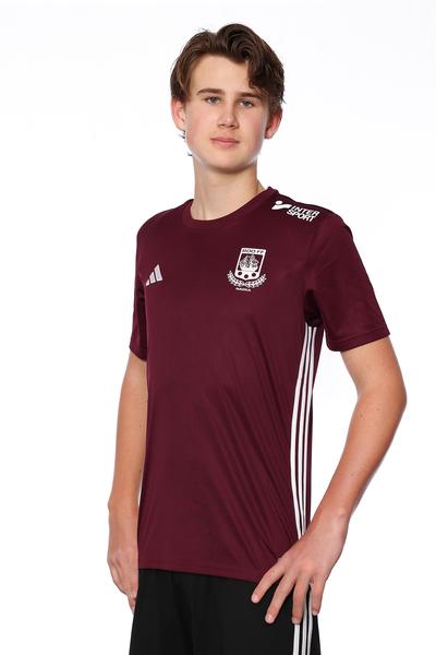 Md p15 a elton aspenberg