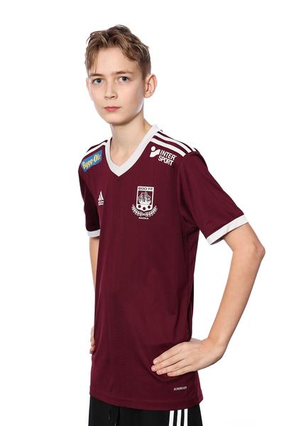 Md p2012 4 elias fernlund