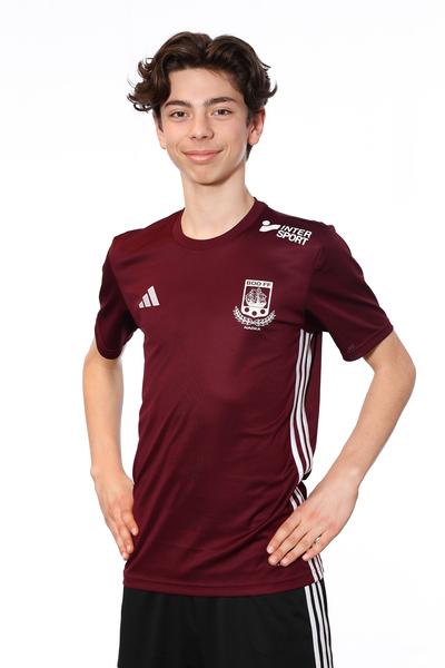 Md p14 a danilo zivojinovic