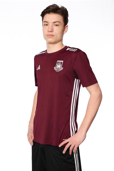 Md p15 a hugo persson