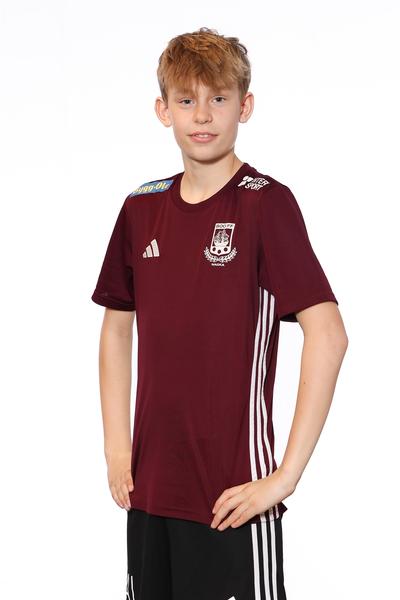 Md p2013 2 anton lindfors