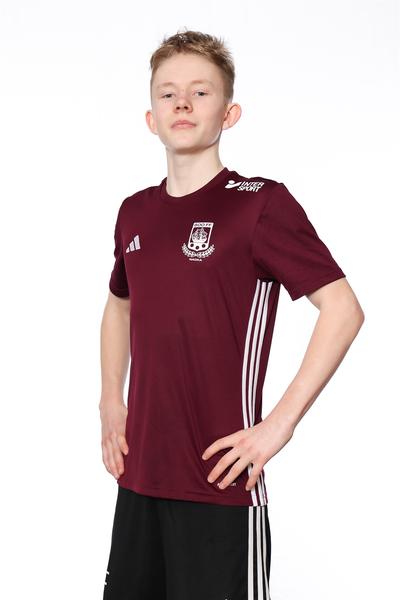 Md p15 a vincent formark