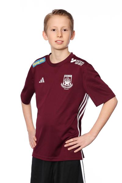 Md p2013 3 max obrien