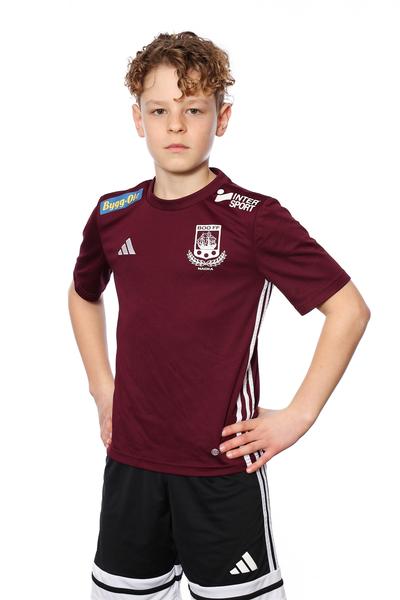 Md p2013 3 axel hellstrom