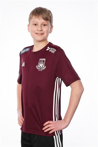 Md p2012 2 leo wahlstrom