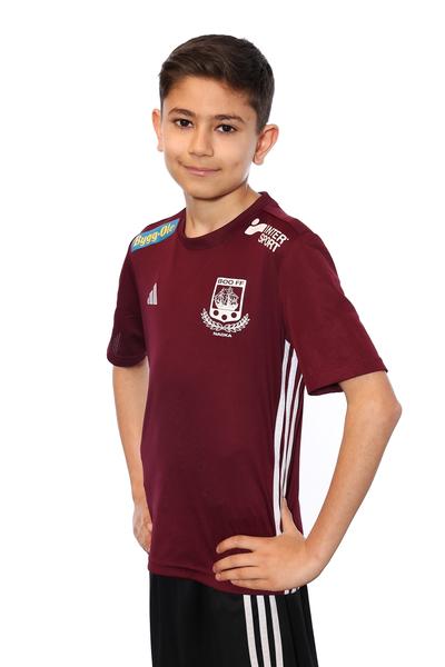 Md p13 a melvin najafi