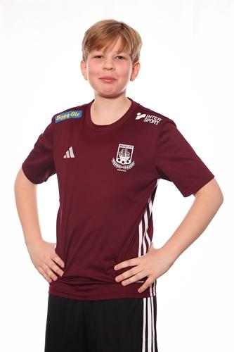 Md p13 4 ed hallengard