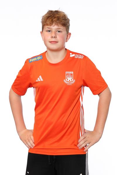 Md p2013 8 lukas skrodenis