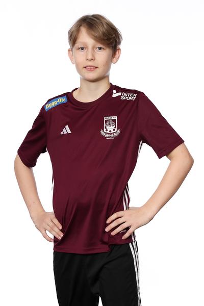 Md p2013 13 william ljungberg