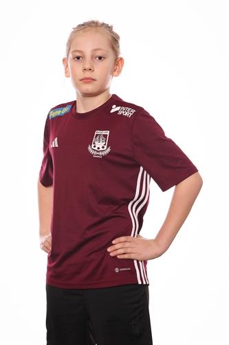 Md p13 4 hector sahl