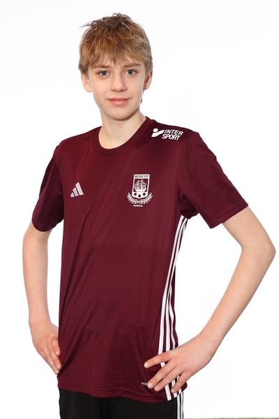 Md p2013 14 svante stafrin