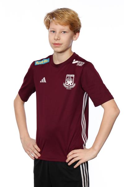 Md p2013 13 kean karlsson