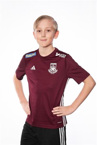 Md p2012 2 carl johan sarback