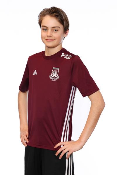 Md p2013 8 leo werin