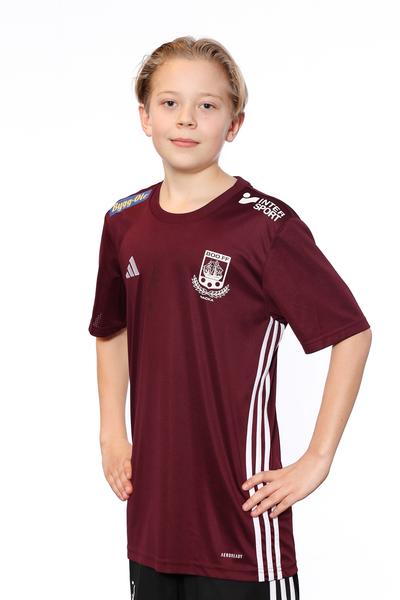 Md p2013 2 edvin henriksson