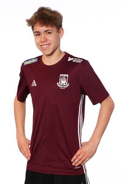 Md p14 a ludwig erlandsson
