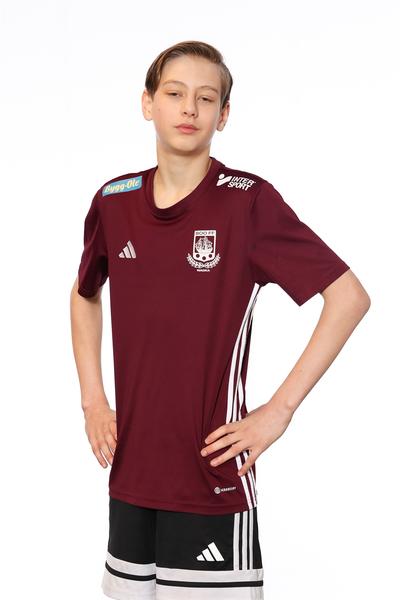 Md p2013 2 theodor kadri