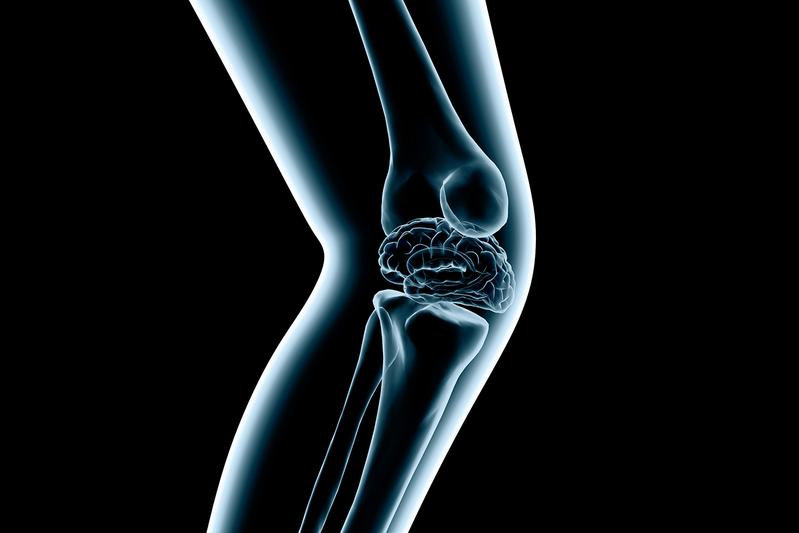 SFK inleder samarbete med Capio Artro Clinic kring idrottsskador