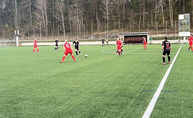 Matchrapporter från herr och dam