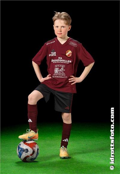 Md 2165 isak arnesson