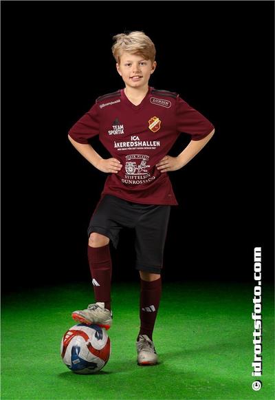 Md 2176 olle dehlfors