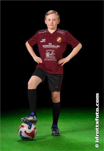 Md 2163 harry blidstedt
