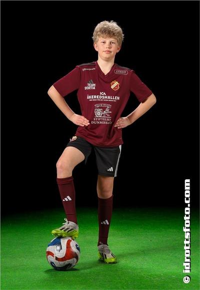 Md 2177 olle hallgren
