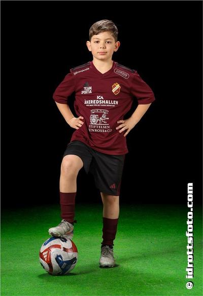 Md 2175 noah hammeren