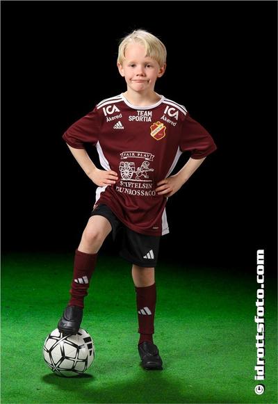 Md 19 bjorn alexandersson
