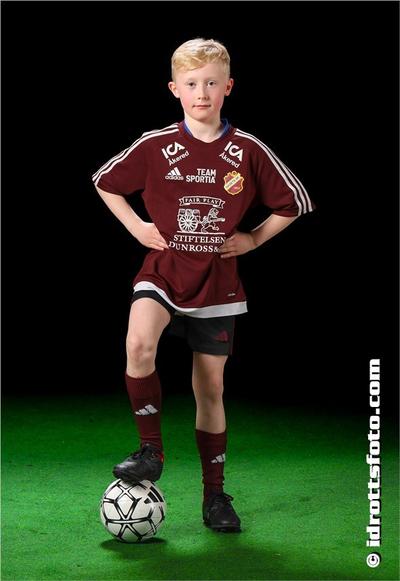 Md 28 harry hansson