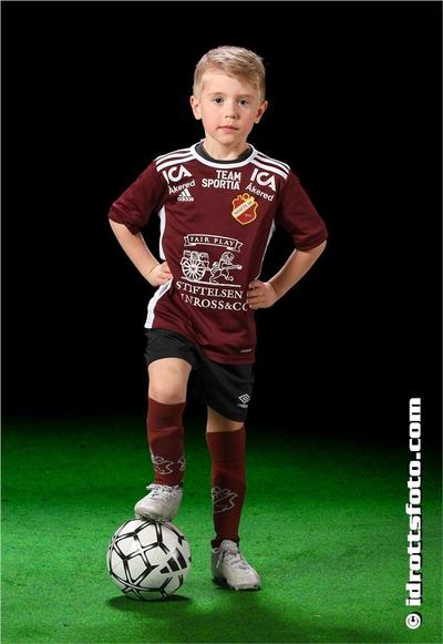 Md 33 matteo green