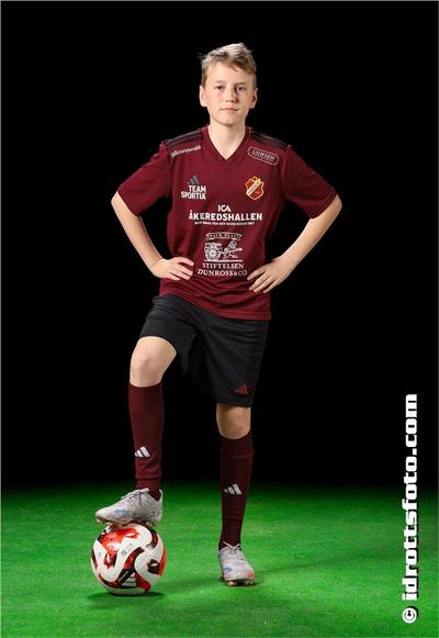 Md 183 max henriksson