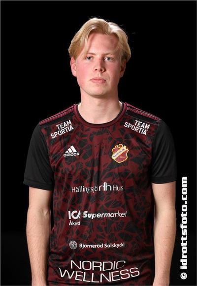 Md 2281 erik widlund