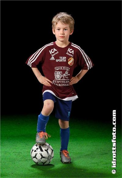 Md 45 viggo helgegren