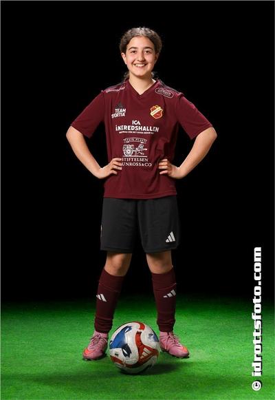Md 2220 vian mansouri