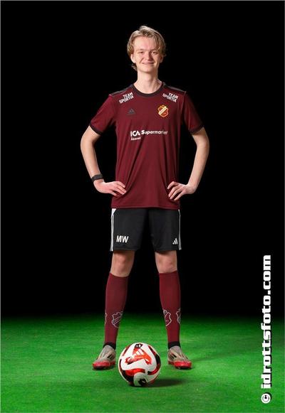 Md 211 marius wilen