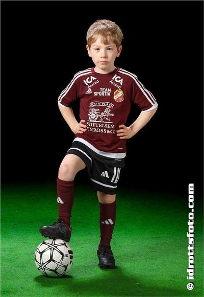 Md 13 frans gorner