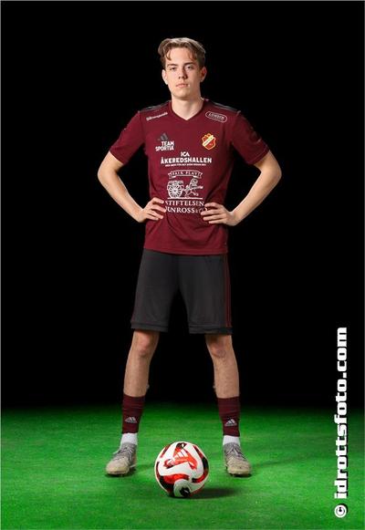 Md 199 alvin johannesson