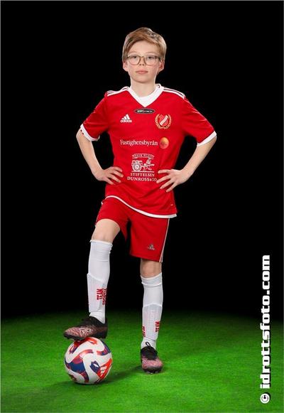 Md 100 manfred johansson