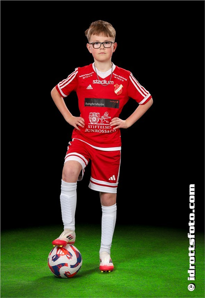 Md 139 harry wallmark