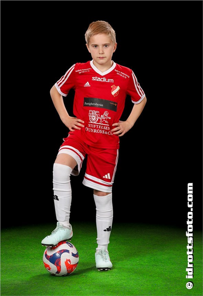 Md 142 julian hultsater